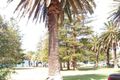 Property photo of 83 Mitchell Road Cronulla NSW 2230