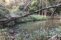 Property photo of 185 Towen Mount Road Towen Mountain QLD 4560