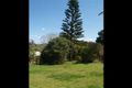 Property photo of 24 Charlotte Street Bangalow NSW 2479