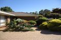 Property photo of 64 Hamilton Road Fairview Park SA 5126