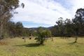 Property photo of 2329 Mount Darragh Road Wyndham NSW 2550