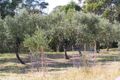 Property photo of 8 Clark Street Dunalley TAS 7177