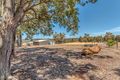 Property photo of 54 Coral Vine Loop Jarrahdale WA 6124