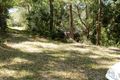Property photo of 831 St Albans Road Lower Macdonald NSW 2775