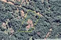 Property photo of 55 Nicole Drive Cape Tribulation QLD 4873