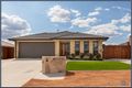 Property photo of 8 Keaney Street Macgregor ACT 2615