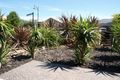 Property photo of 10 Grosvenor Square Craigieburn VIC 3064