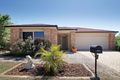 Property photo of 9 Wyperfield Court North Lakes QLD 4509