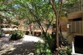 Property photo of 1/50-52 Epping Road Lane Cove NSW 2066