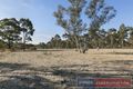 Property photo of 195 McDonalds Road Clunes VIC 3370