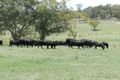 Property photo of 2297 Gurrundah Road Gurrundah NSW 2581