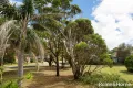 Property photo of 1 Kurrawa Drive Kioloa NSW 2539