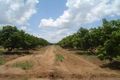 Property photo of 45 Webb Road Lambells Lagoon NT 0822