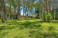 Property photo of 46 Read Street Tewantin QLD 4565