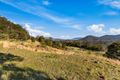 Property photo of 331 Settlement Road Numinbah NSW 2484