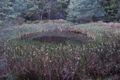 Property photo of 80 Doodys Hill Road Port Huon TAS 7116