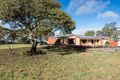 Property photo of 17 Rosella Court Murray Bridge SA 5253