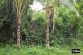 Property photo of 19 View Street Brinsmead QLD 4870