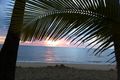 Property photo of 101/5 Triton Street Palm Cove QLD 4879