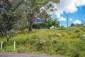 Property photo of 300 Railway Parade Blaxland NSW 2774