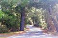 Property photo of 14 Canowindra Close Vermont South VIC 3133
