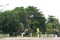 Property photo of 56 Bowen Road Rosslea QLD 4812