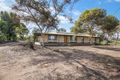 Property photo of 295 Arumpo Street Renmark West SA 5341