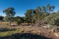 Property photo of 82 Starrlea Road Molong NSW 2866
