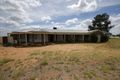 Property photo of 65 Mulumbah Road Deniliquin NSW 2710