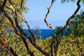 Property photo of 95 Orient Drive Sunrise Beach QLD 4567