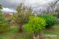 Property photo of 24 Watchorn Street South Launceston TAS 7249