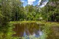 Property photo of 272 Ringtail Creek Road Ringtail Creek QLD 4565