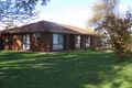 Property photo of 7 Lia Court Echuca VIC 3564