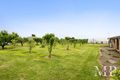 Property photo of 280 Old Cape Schanck Road Boneo VIC 3939