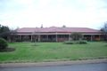 Property photo of 4 Guild Place Leeton NSW 2705