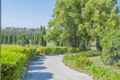 Property photo of 449 Tocal Road Mindaribba NSW 2320