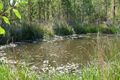 Property photo of 165 Ewingar Ridge Road Ewingar NSW 2469
