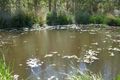 Property photo of 165 Ewingar Ridge Road Ewingar NSW 2469