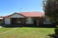 Property photo of 7 Blueberry Ash Court Glenvale QLD 4350