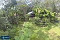Property photo of 53-71 Mapleton Forest Road Mapleton QLD 4560
