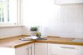 Property photo of 1/20 Royston Street Darlinghurst NSW 2010