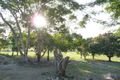 Property photo of 2044 Yakapari-Seaforth Road Seaforth QLD 4741