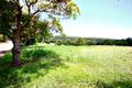 Property photo of 193 Range Road Peachester QLD 4519