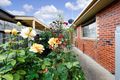 Property photo of 1/43 Truscott Street Whittington VIC 3219