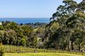 Property photo of 548 Purves Road Main Ridge VIC 3928
