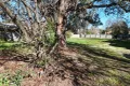 Property photo of 60 Elrington Street Braidwood NSW 2622