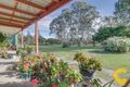 Property photo of 1560 Pumicestone Road Toorbul QLD 4510
