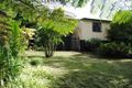 Property photo of 14 Coleman Square Tamborine Mountain QLD 4272