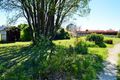Property photo of 285 Falconer Street South Guyra NSW 2365