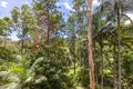 Property photo of 14 Edwin Road Buderim QLD 4556
